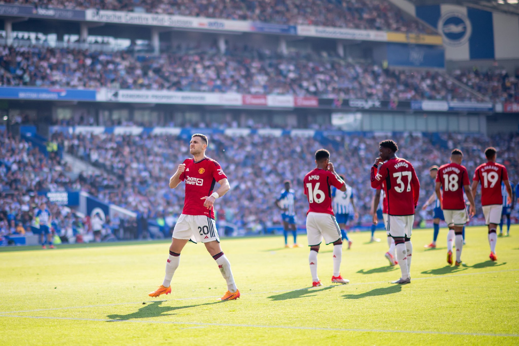 鲜明对比 鲜明对比