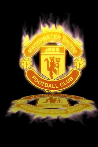 巴西足球的 巴西足球的